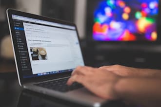 write original and high quality articles