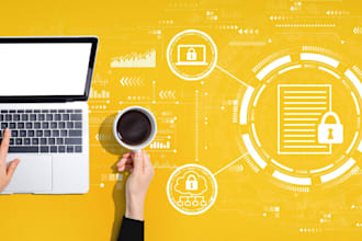 do web programming and web designing