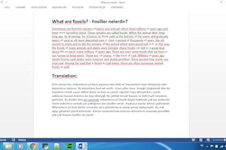 professionally translate english to turkish and turkish to english