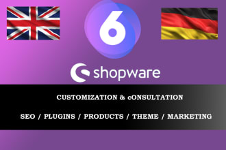 do shopware installation and theme customization