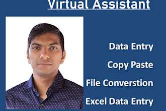 be virtual assistant for excel data entry, copy paste, typing work, data entry