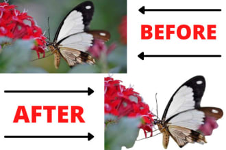 background removal crop images professionally quickly delivery