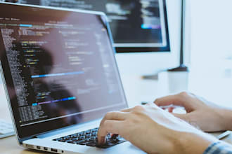 do web development and programming