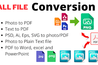 do all type file conversion and data entry work