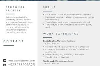 make professional resume design or modern cv template