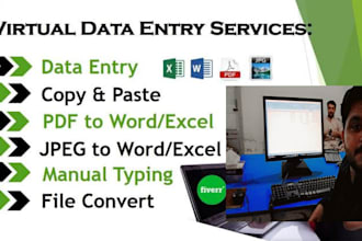 do excel data entry , word data entry, pdf to excel