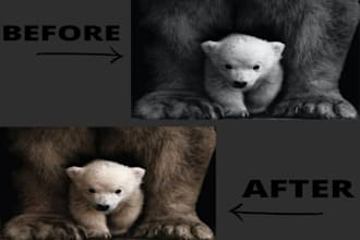 colorize black and white photo