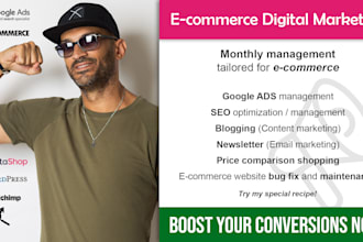 digital web marketing consultant