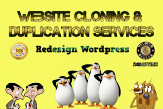 do copy, clone or duplicate any website