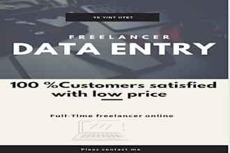 do fast data entry in low price, internet research