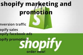 roi based ecommerce shopify promotion and marketing for you