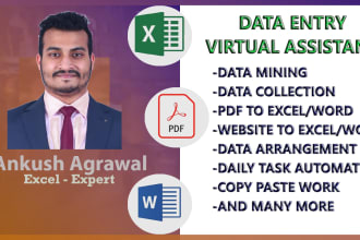 be your excel pro, fix any formulas, formatting, data cleaning
