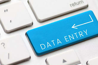 provide fastest and accurate data entry,  copy paste jobs