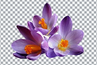do background remove editing