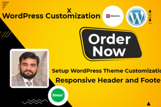 do wp install customization,setup theme wordpress edit with unlimited revisions