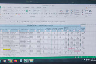 data entry PDF convert to word and excel ms excel
