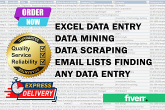 do excel data entry, find email lists address, virtual assistant, data scraping