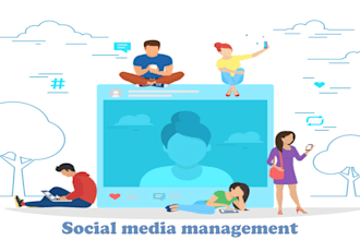 social media management and content