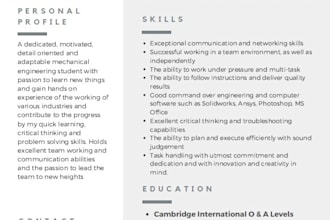create a personalized and attractive resume for you