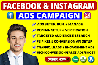 be facebook ads manager and run fb ads campaign, instagram ads, fb advertising