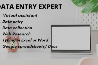 be your VA for data entry