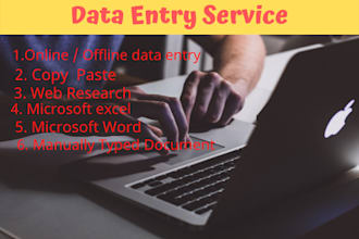 provide  data entry, copy paste and web research services