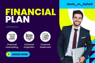 prepare investor financial plan with forecasting and financial projection