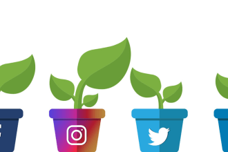 do social media marketing strategy and optimize sm