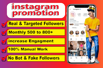 do instagram promotion for fast organic instagram growth