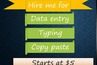 data entry, web research, copy paste, typing work