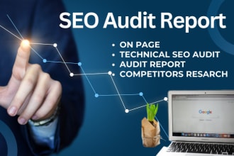 offer detailed etsy shop audit or technical SEO audit report