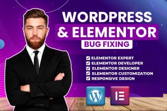 fix elementor bugs, elementor expert, elementor pro