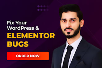 fix elementor bugs, elementor expert, elementor pro