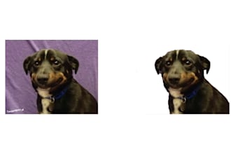 remove and change backround in photoshop