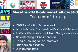provide organic worldwide, USA, and UK web traffic