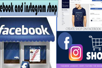setup professional facebook and instagram shop and page also fix error