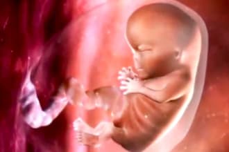 give you wazefa for boychildbirth benefit
