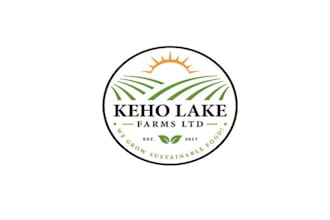 design an attractive logo in 1  day
