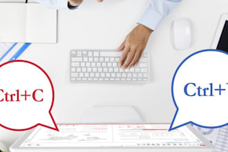 data entry and copy paste work