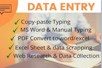data entry and ms office work