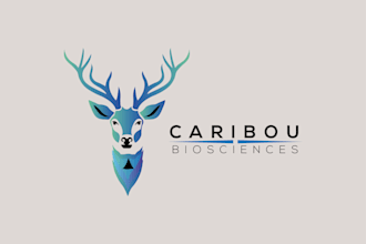 design a creative pet luxury 3d logo