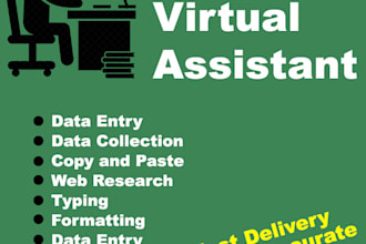 do copy writing, data entry