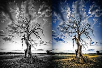 colorize black and white photo