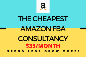 be your amazon mentor, consultant and va to boost your sales