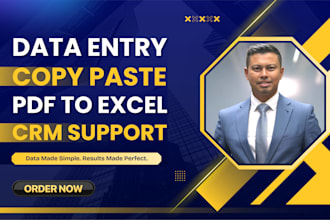 do accurate data entry, excel, google sheets, CRM data management