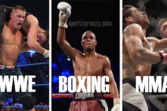 write boxing, MMA, ufc, wwe blogs, articles and youtube scripts