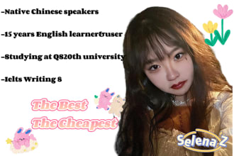 provide perfect and accurate chinese english translation