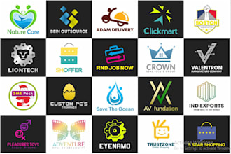 professional to design flat or versatile logo