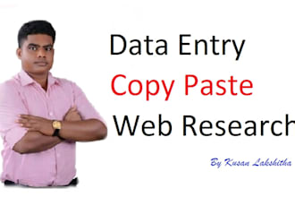 do excel data entry, copy paste and web research