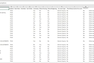 provide excel services and data preperation